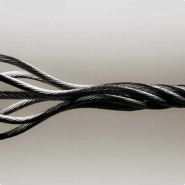 CapaOne - Endpoint Management Consolidated